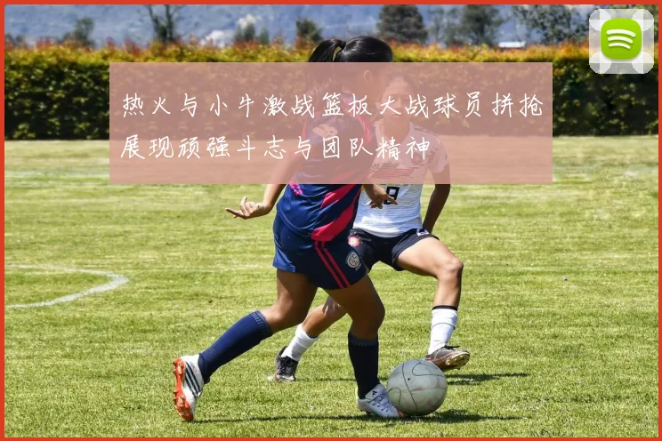 热火与小牛激战篮板大战球员拼抢展现顽强斗志与团队精神