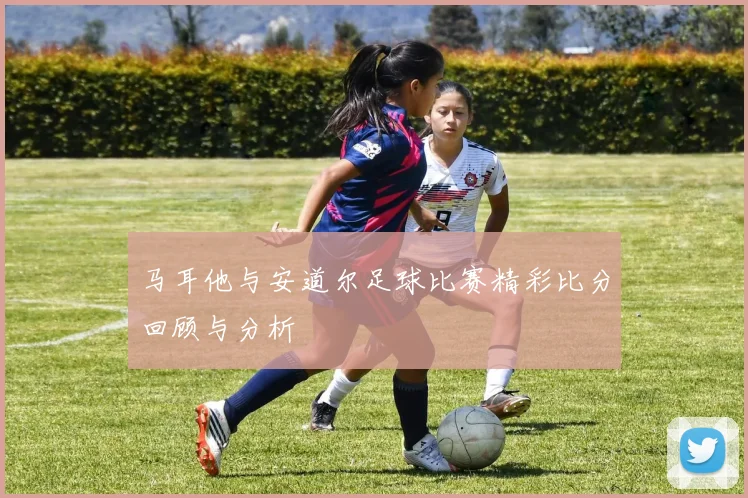 马耳他与安道尔足球比赛精彩比分回顾与分析