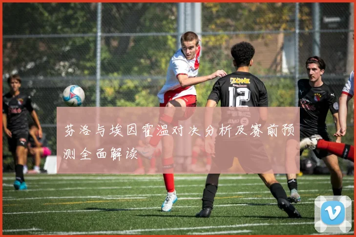 芬洛与埃因霍温对决分析及赛前预测全面解读