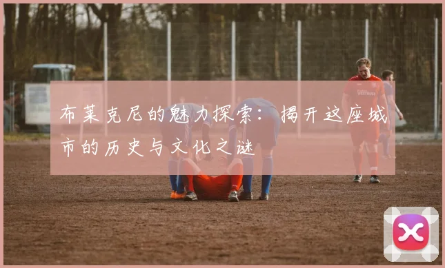 布莱克尼的魅力探索：揭开这座城市的历史与文化之谜