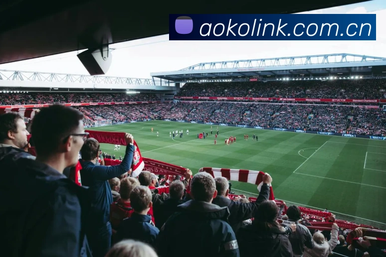 澳客体育APP 封面图